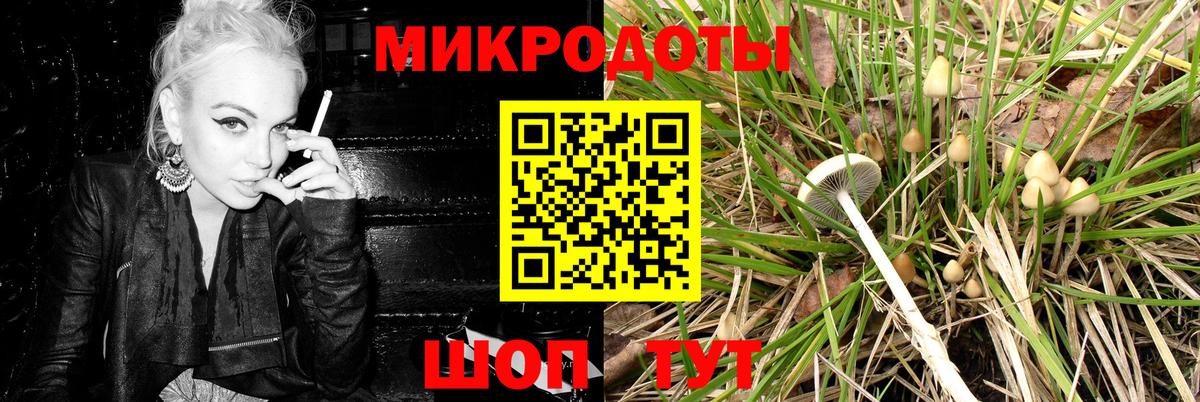 Псилоцибиновые грибы GOLDEN TEACHER Балаково